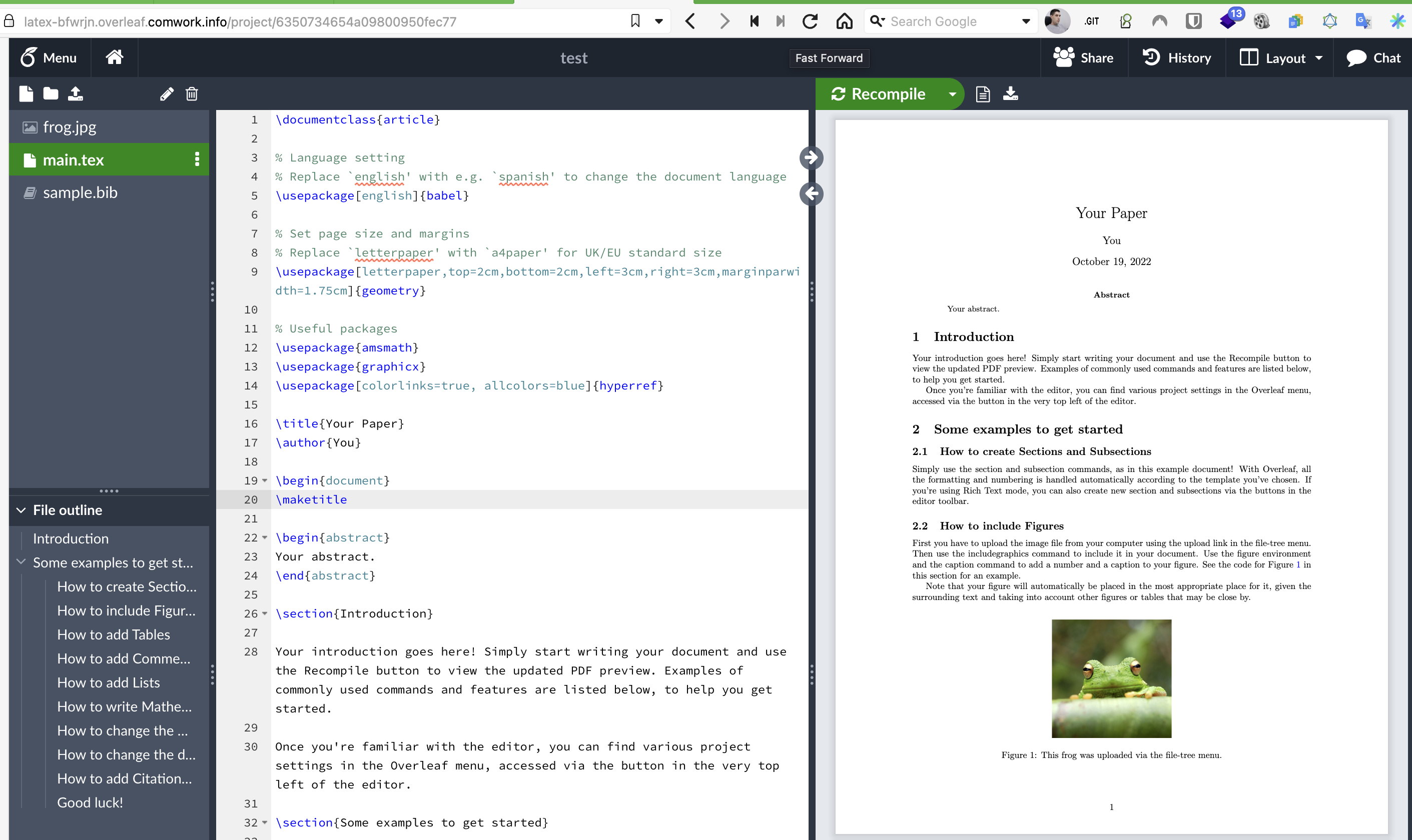 overleaf_example